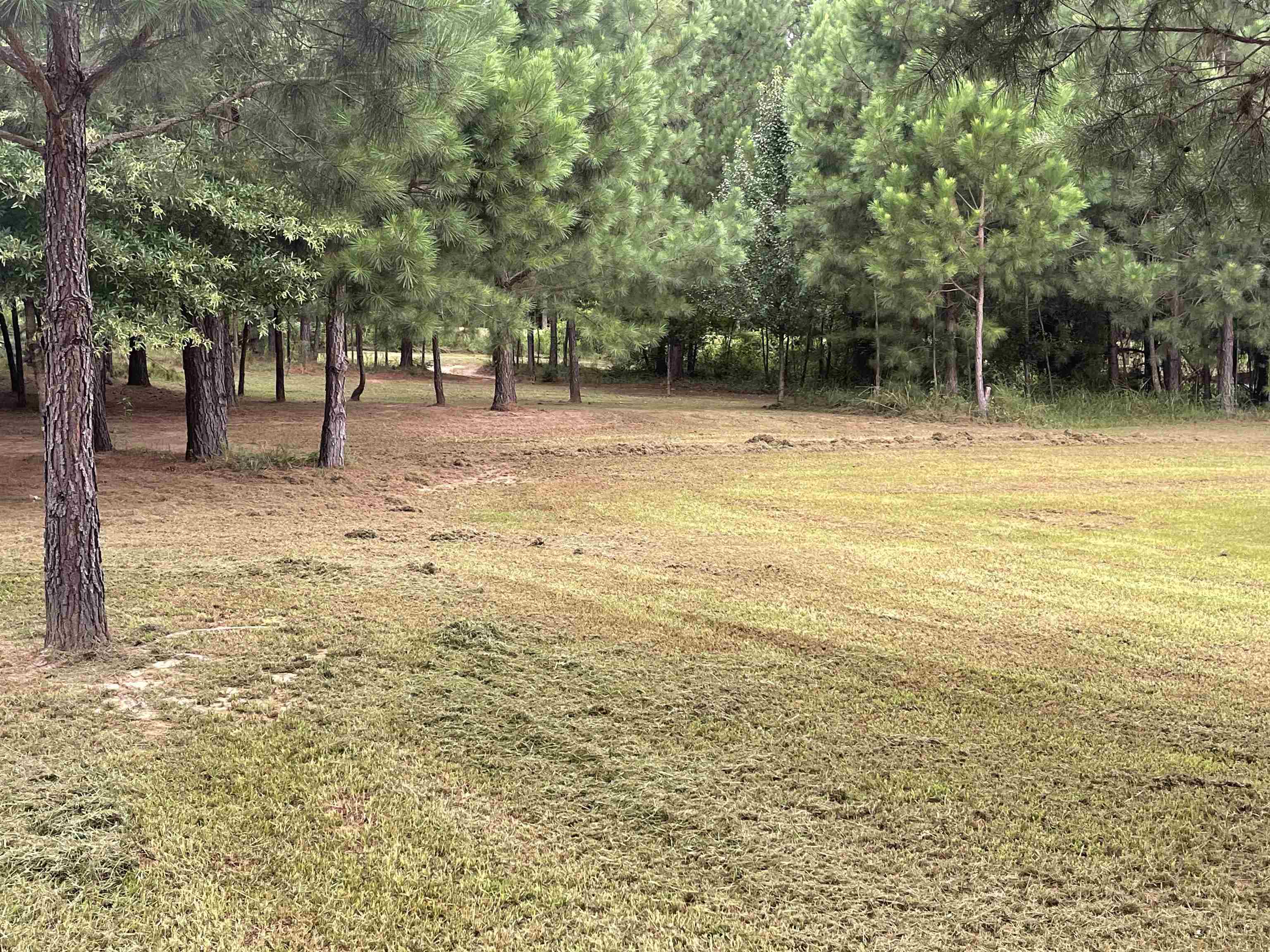 492 Hawkins Road Union, SC 29379 - Photo 16 of 41