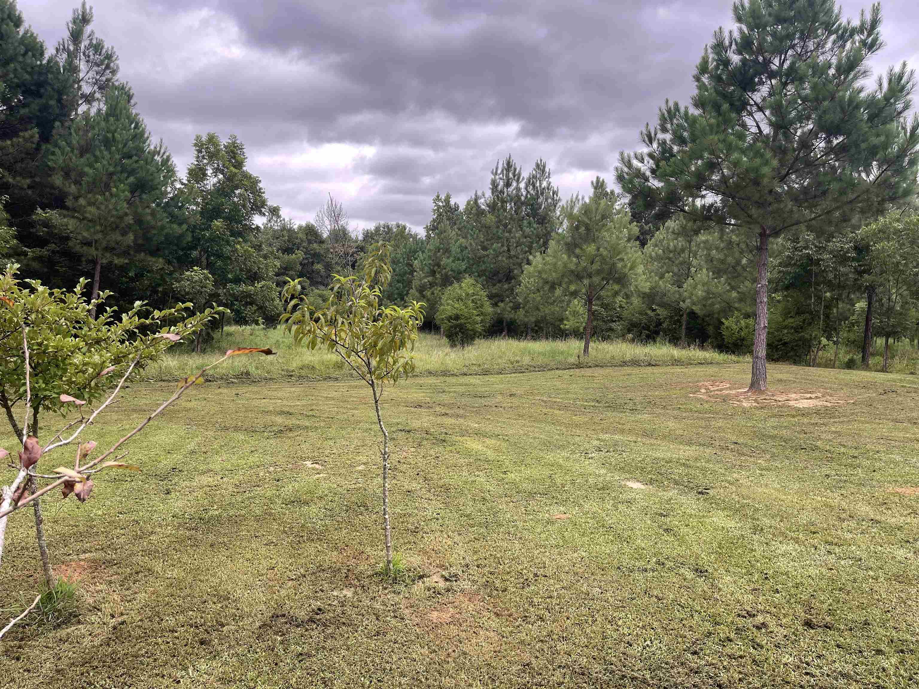 492 Hawkins Road Union, SC 29379 - Photo 17 of 41
