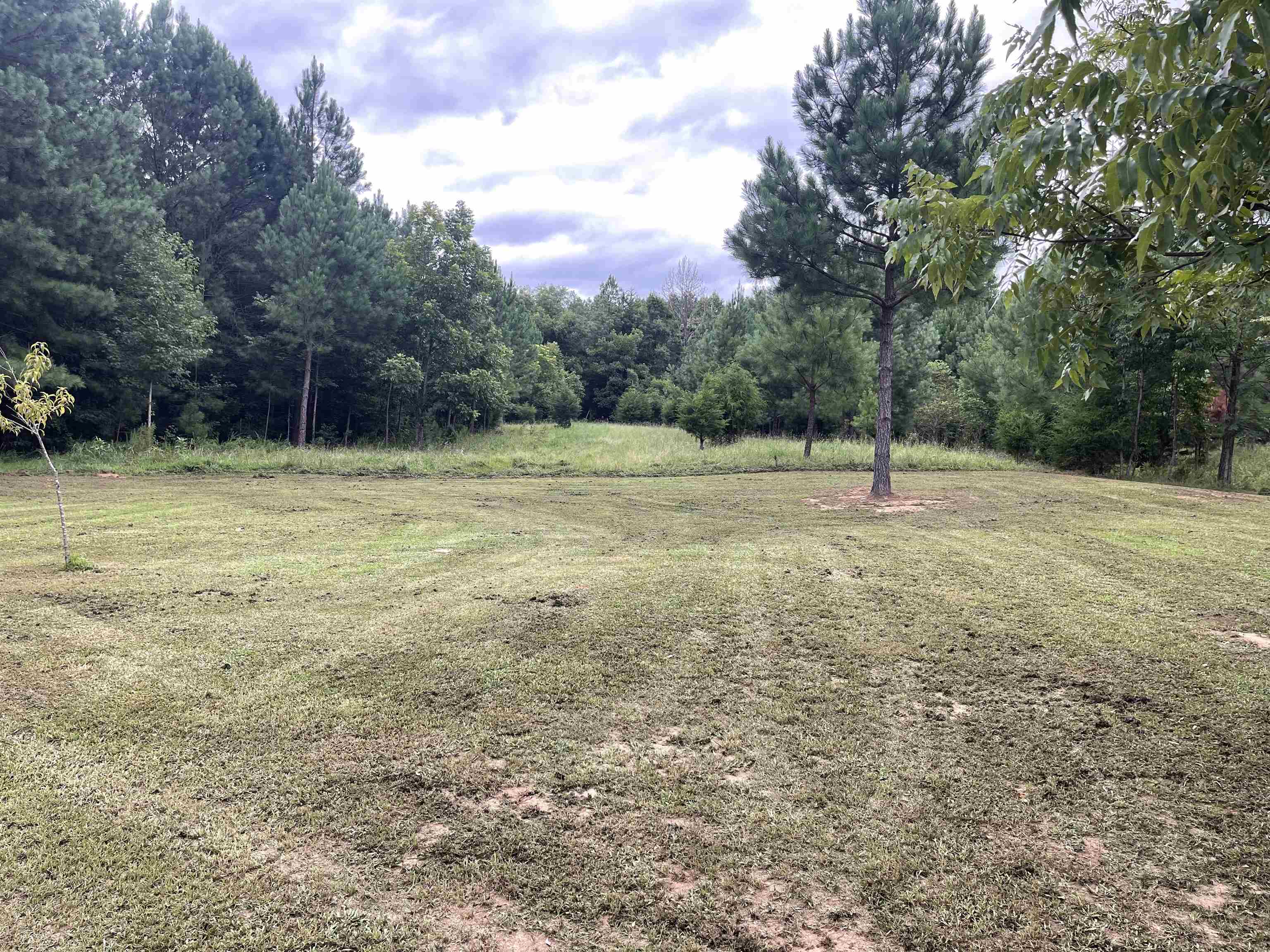 492 Hawkins Road Union, SC 29379 - Photo 10 of 41