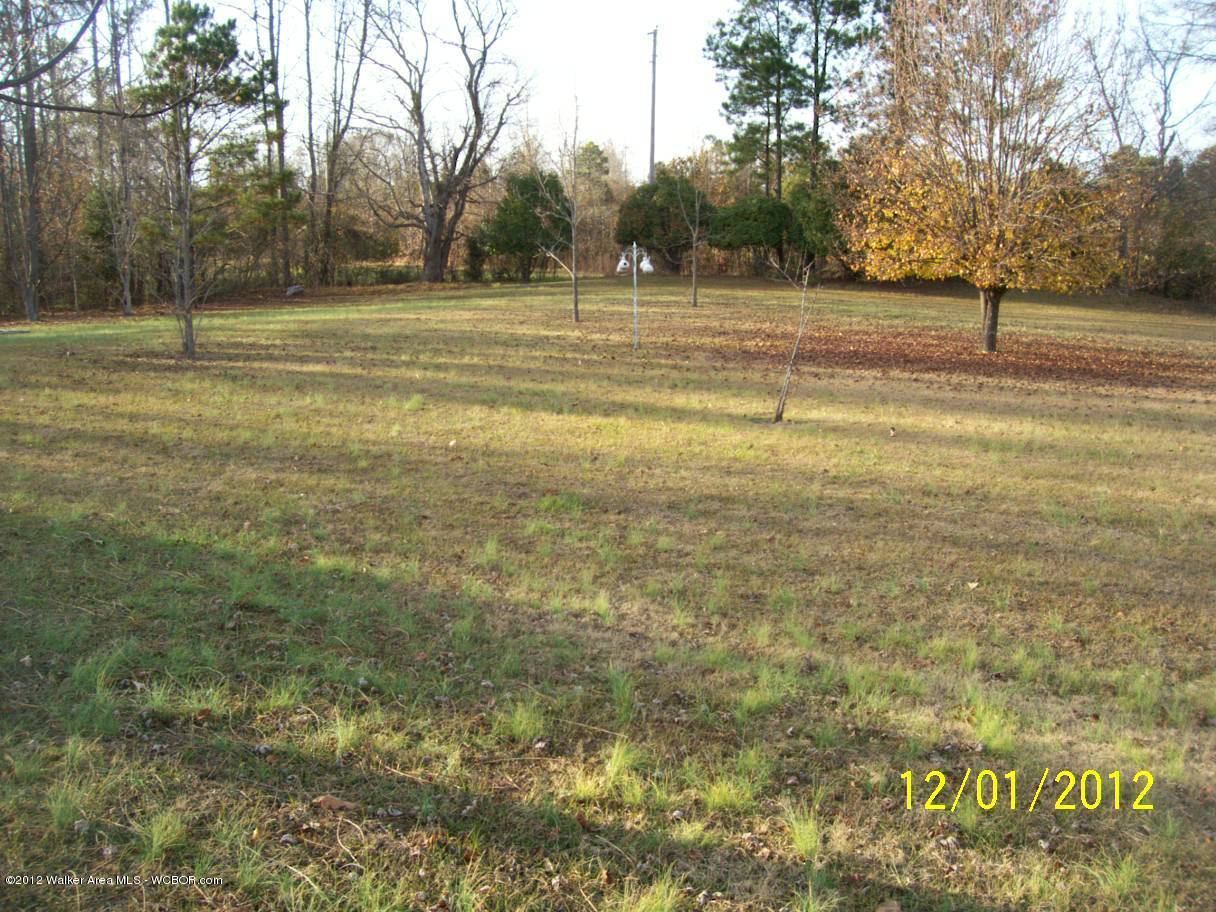 1265 Mt Hebron Road Beaverton, AL 35544 - Photo 42 of 45 Gallery Image 42