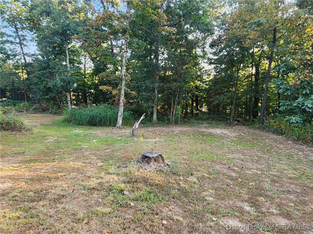 West Hospital Road Paoli, IN 47454 - Photo 3 of 4