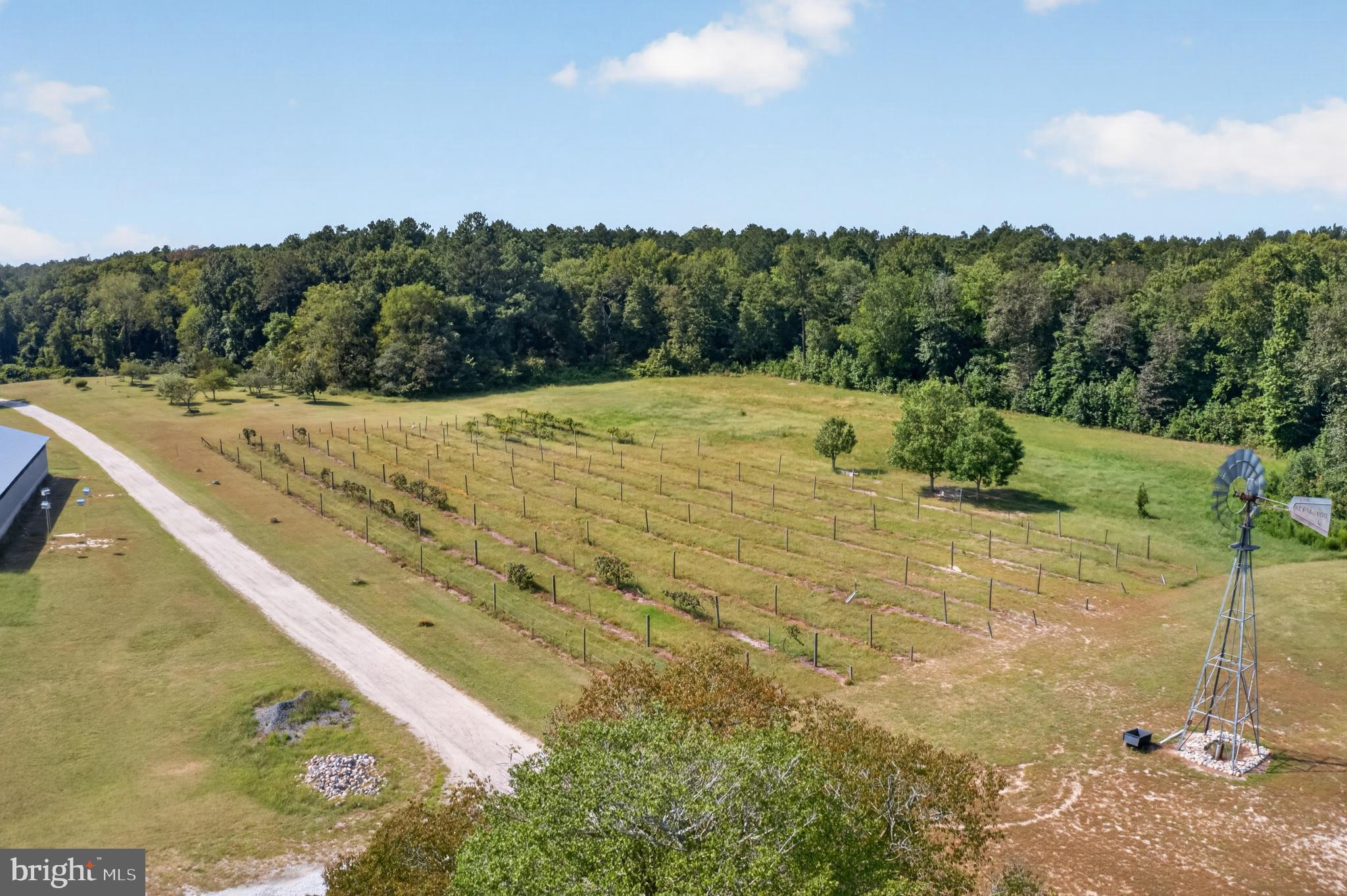 33350 Wango Road Salisbury, MD 21804 - Photo 11 of 86 Gallery Image 11