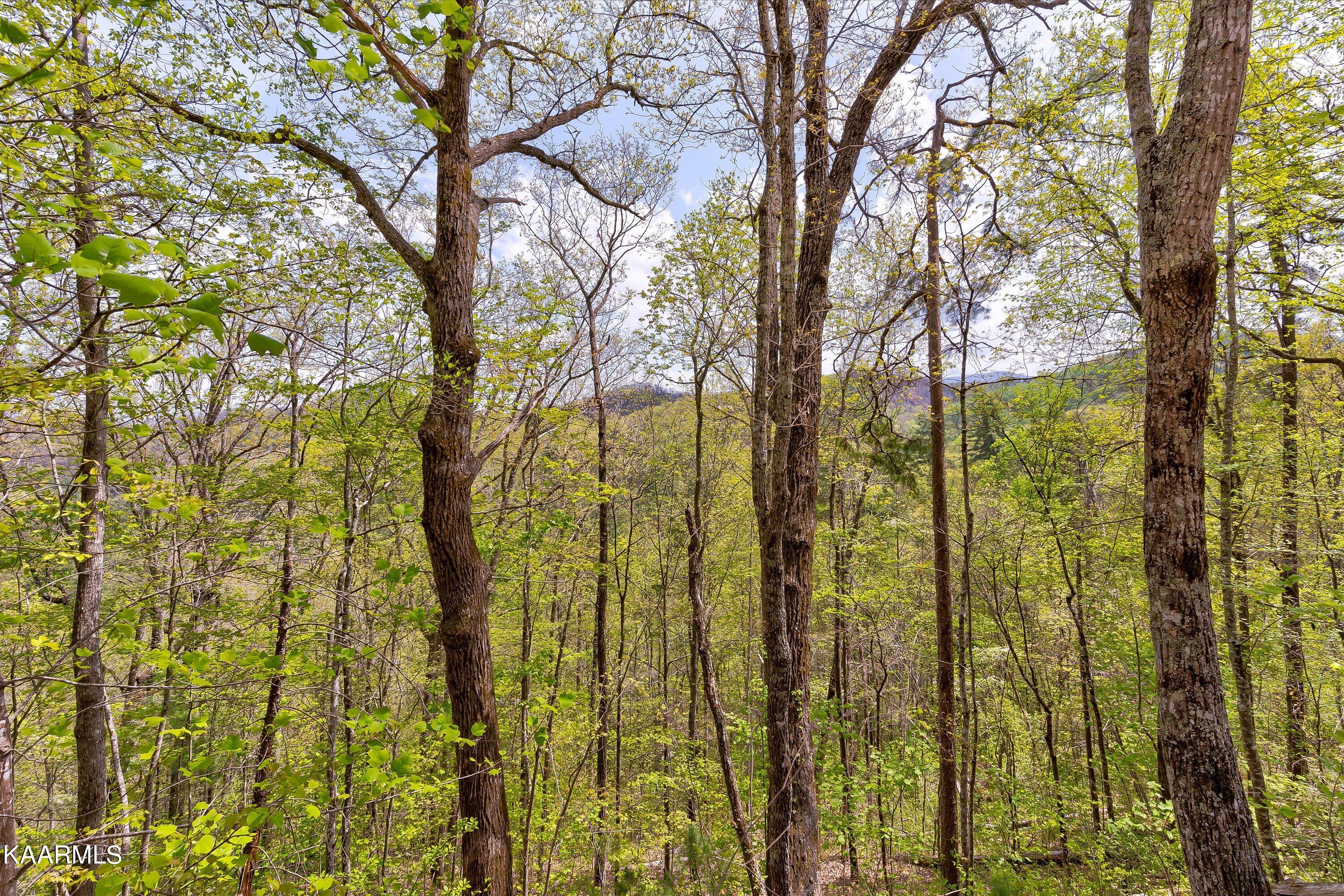 Lot 3 Sunset Road Sevierville, TN 37862 - Photo 9 of 17 04-Sunset Rd Lot 2-4