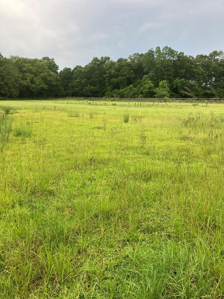 326 H H Merritt Road Slocomb, AL 36375 - Photo 5 of 5