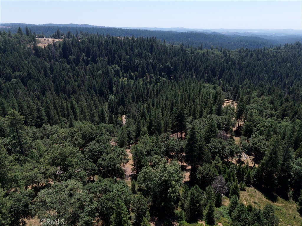 0 Slalom Lane Pollock Pines, CA 95726 - Photo 1 of 20 a view of a city with lush green forest