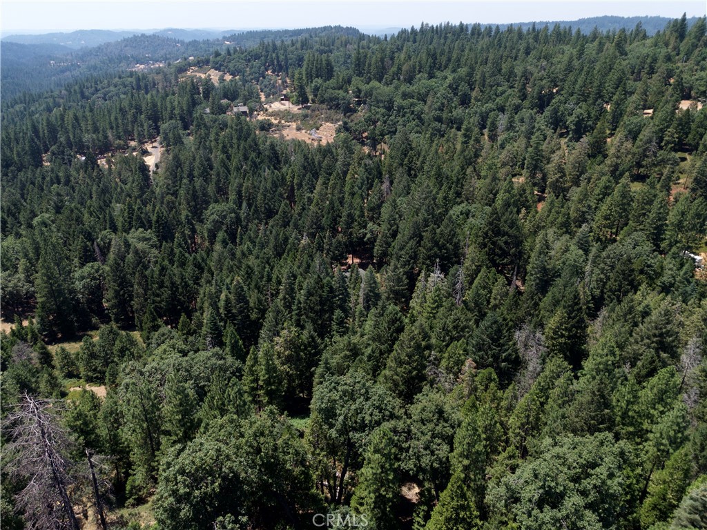 0 Slalom Lane Pollock Pines, CA 95726 - Photo 15 of 20 a view of a forest with a street