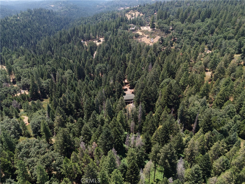 0 Slalom Lane Pollock Pines, CA 95726 - Photo 16 of 20 a view of a house with a lush green forest