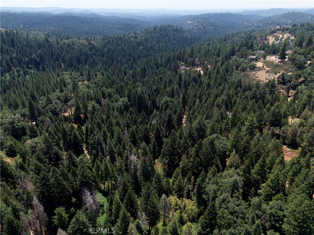 0 Slalom Lane Pollock Pines, CA 95726 - Photo 17 of 20 a view of a city with lush green forest