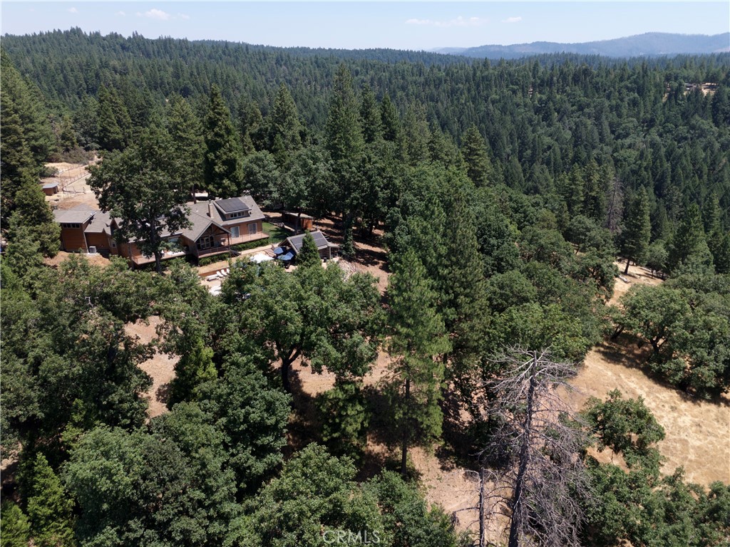 0 Slalom Lane Pollock Pines, CA 95726 - Photo 18 of 20 a view of a forest with a forest