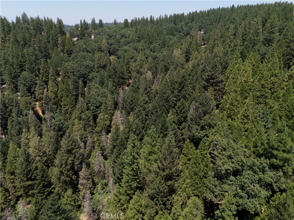 0 Slalom Lane Pollock Pines, CA 95726 - Photo 19 of 20 an aerial view of a house with a yard