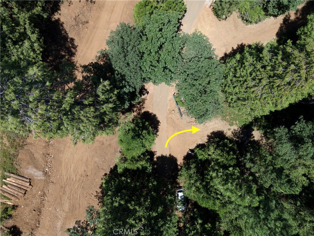 0 Slalom Lane Pollock Pines, CA 95726 - Photo 3 of 20 a view of a lake and a yard