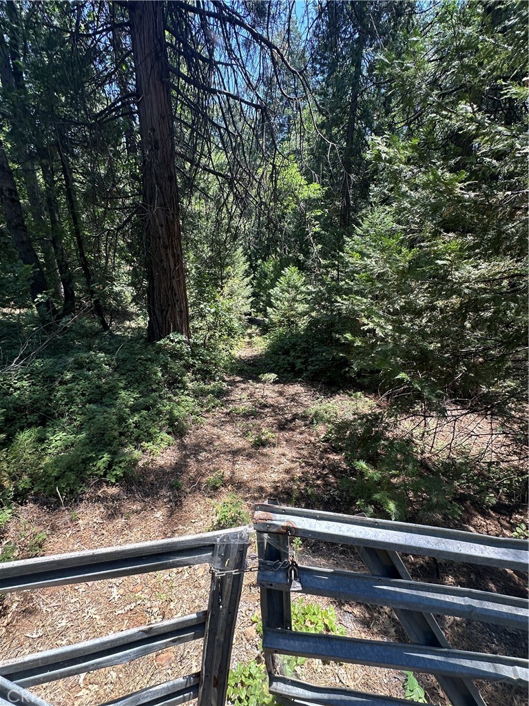0 Slalom Lane Pollock Pines, CA 95726 - Photo 4 of 20 a view of a yard with plants and wooden fence