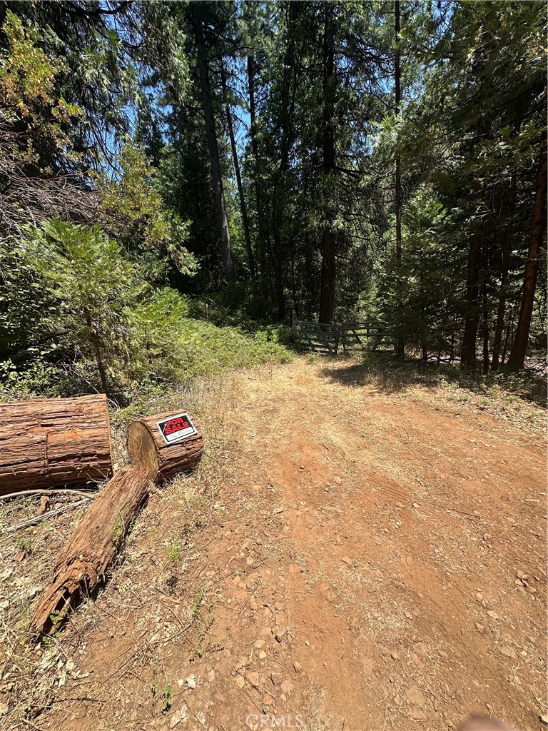 0 Slalom Lane Pollock Pines, CA 95726 - Photo 5 of 20 a view of backyard with green space