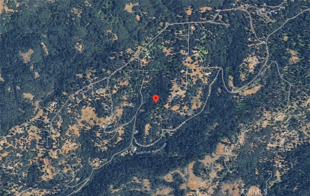 0 Slalom Lane Pollock Pines, CA 95726 - Photo 6 of 20 a plant in a yard