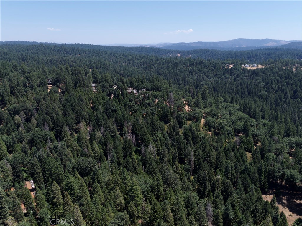 0 Slalom Lane Pollock Pines, CA 95726 - Photo 8 of 20 a view of a green field with lots of bushes