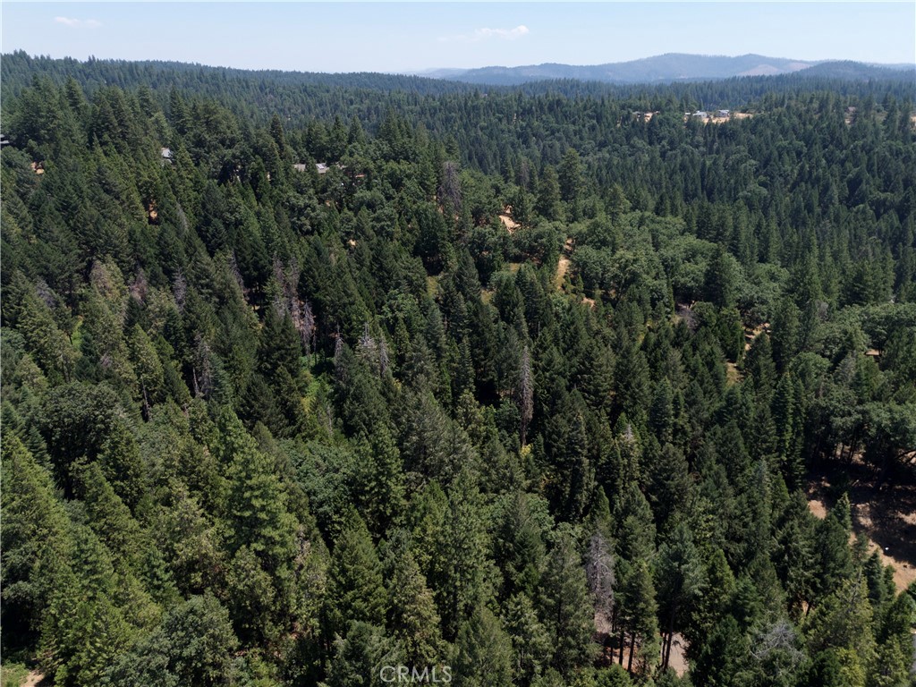 0 Slalom Lane Pollock Pines, CA 95726 - Photo 9 of 20 a view of a lush green forest with trees and some houses