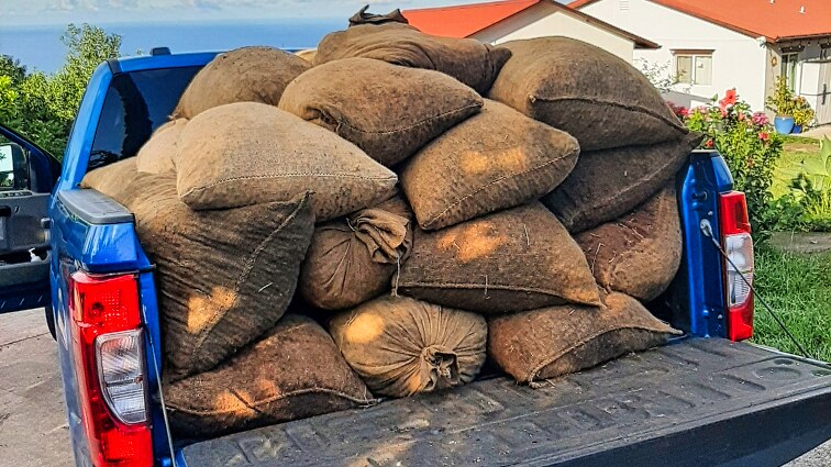 95-3869 Lot 2 Halemauna Road Naalehu, HI 96772 - Photo 11 of 30 Bags of freshly processed Kau coffee, ready for market. This farm produces high-quality beans, offering buyers a turn-key opportunity to step into a thriving coffee business.