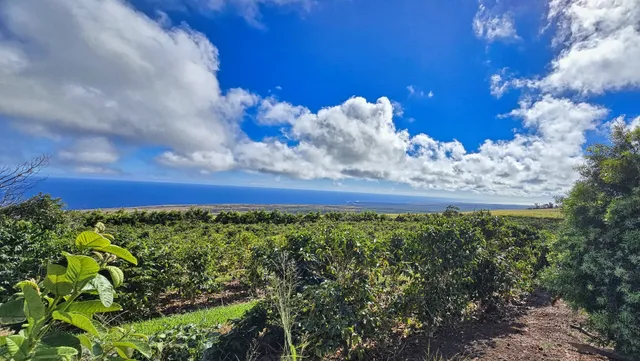 $1,795,000 | 95-3869 Lot 2 Halemauna Road, Naalehu, HI 96772
