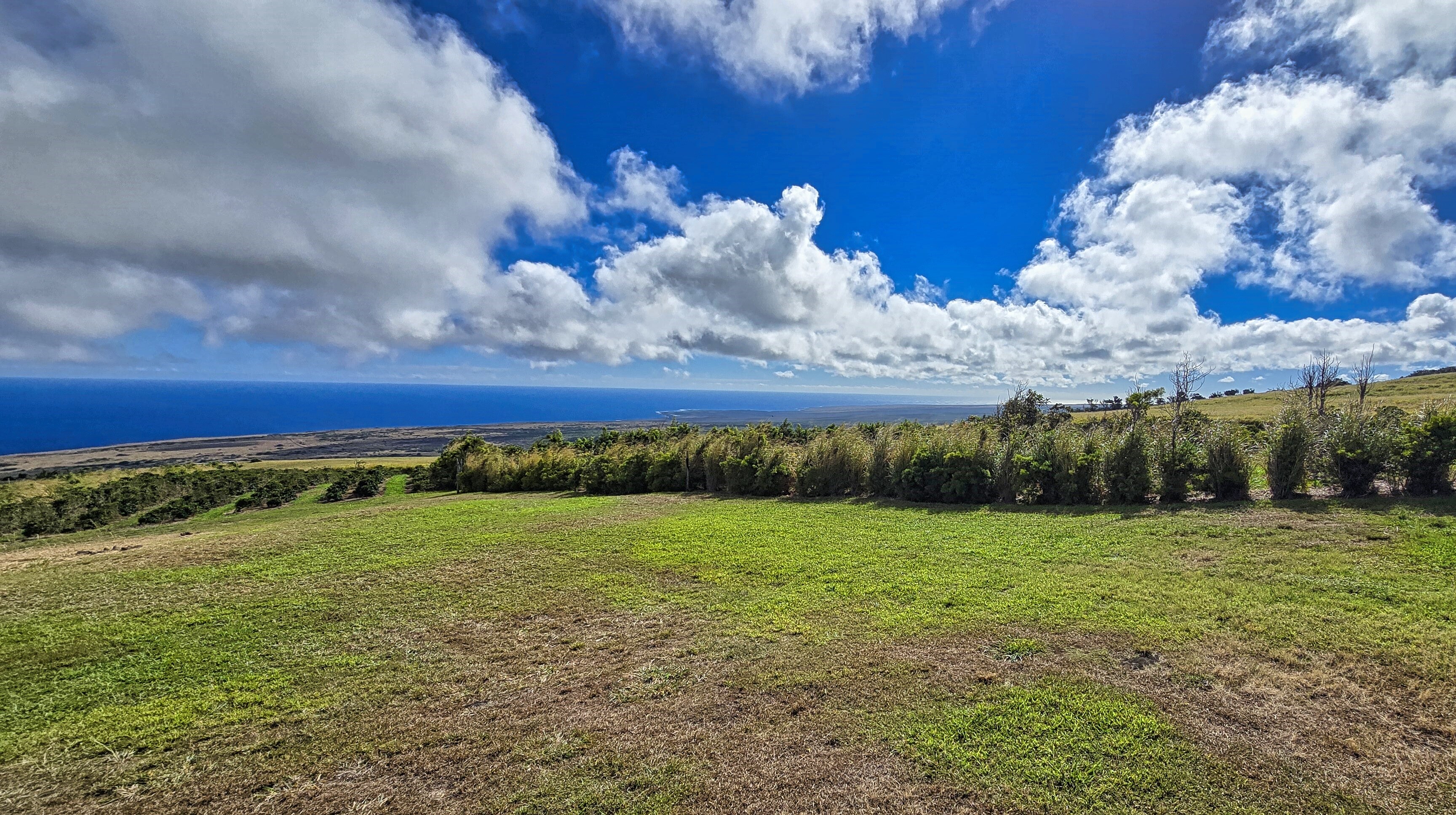95-3869 Lot 2 Halemauna Road Naalehu, HI 96772 - Photo 21 of 30 A pristine open space with panoramic ocean views, perfect for grazing, expansion, or building. This versatile land adds to the farm�"s potential while offering a stunning backdrop.