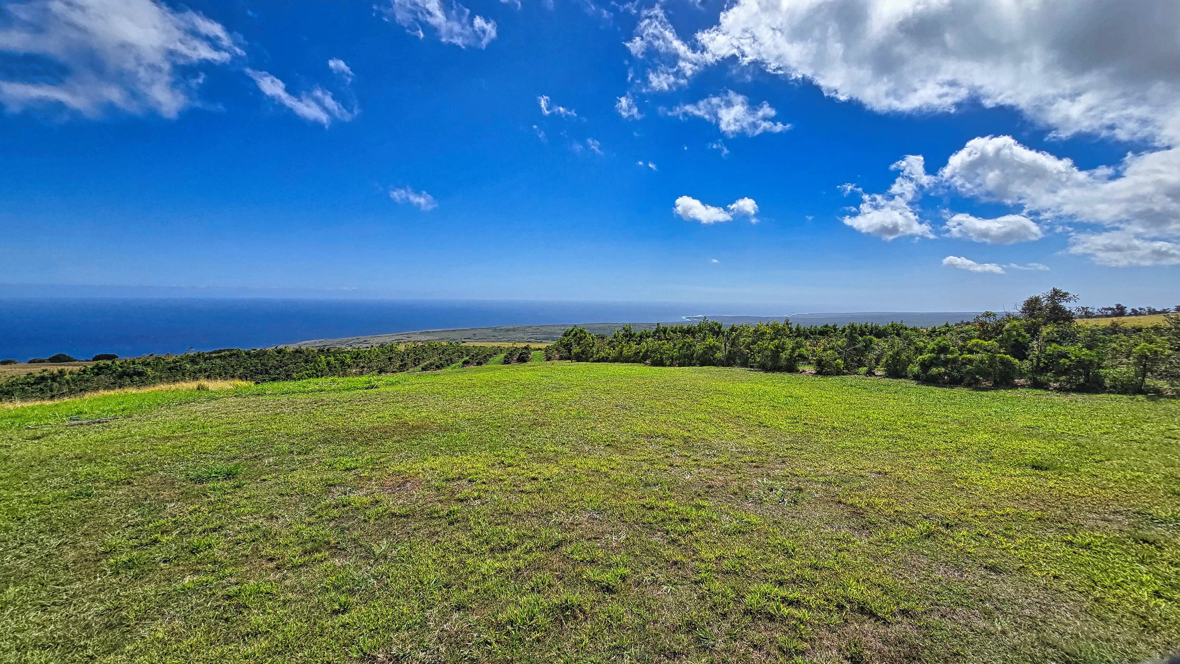 95-3869 Lot 2 Halemauna Road Naalehu, HI 96772 - Photo 24 of 30 A pristine open space with panoramic ocean views, perfect for grazing, expansion, or building. This versatile land adds to the farm�"s potential while offering a stunning backdrop.