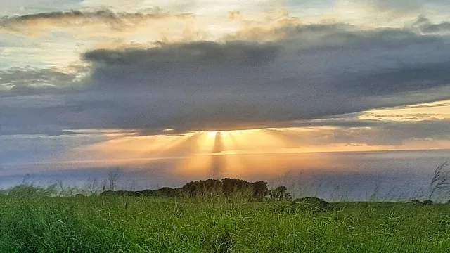 $1,795,000 | 95-3869 Lot 2 Halemauna Road, Naalehu, HI 96772