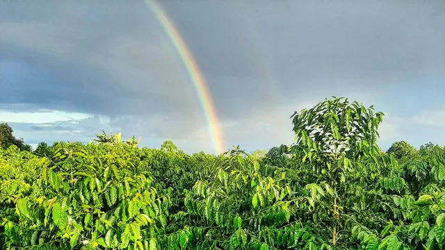 $1,795,000 | 95-3869 Lot 2 Halemauna Road, Naalehu, HI 96772