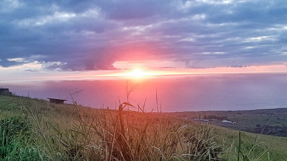 95-3869 Lot 2 Halemauna Road Naalehu, HI 96772 - Photo 4 of 30 A breathtaking sunrise over the Pacific paints the sky in warm hues, offering a serene start to each day. This 34-acre farm blends stunning natural beauty with prime coffee-growing conditions, making it a rare opportunity for a thriving business