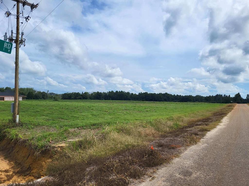 Lot 2 Enterprise Church Road Ashford, AL 36312 - Photo 6 of 8