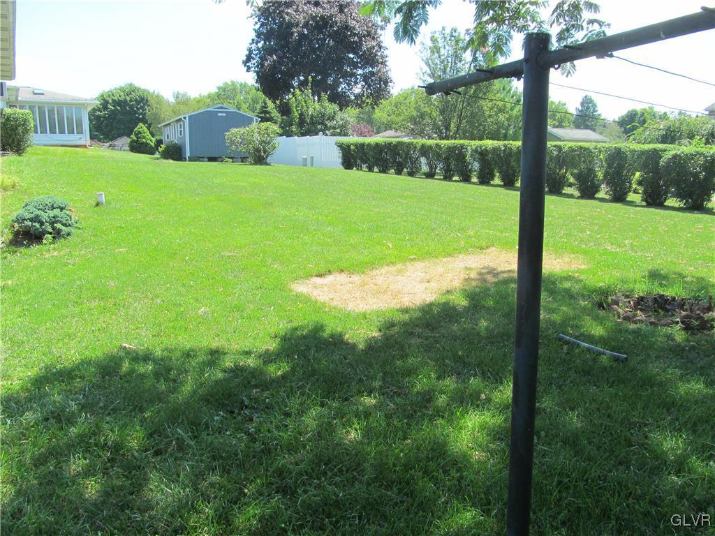 Large fairly flat backyard.