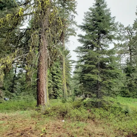 $205,000 | 20 Andy Lane, Unit 73, Donnelly, ID 83615
