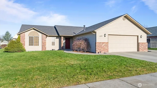 a view of a backyard of the house