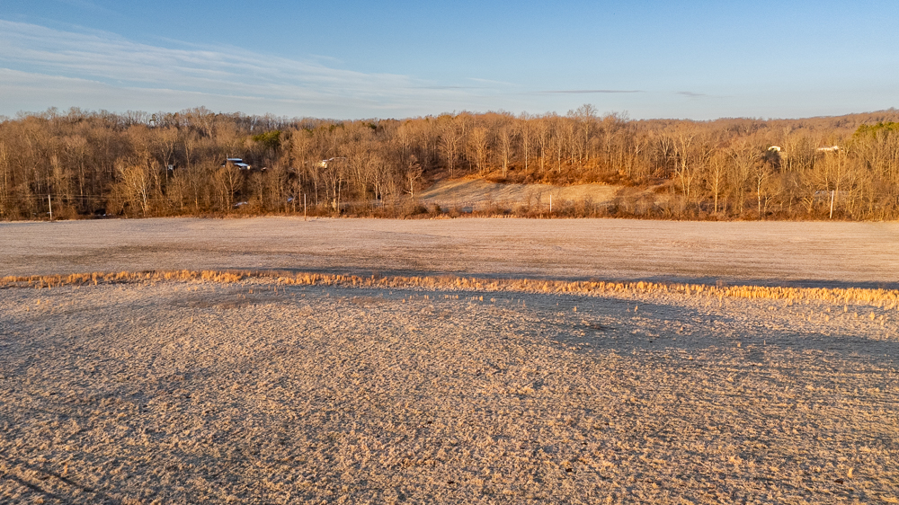 0 Rattlesnake Ferry Road Alto Pass, IL 62905 - Photo 12 of 15