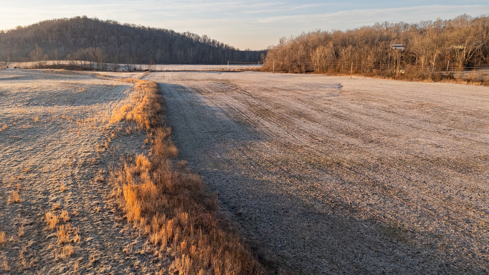 0 Rattlesnake Ferry Road Alto Pass, IL 62905 - Photo 13 of 15