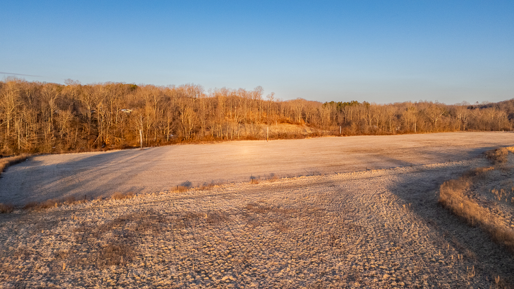 0 Rattlesnake Ferry Road Alto Pass, IL 62905 - Photo 6 of 15