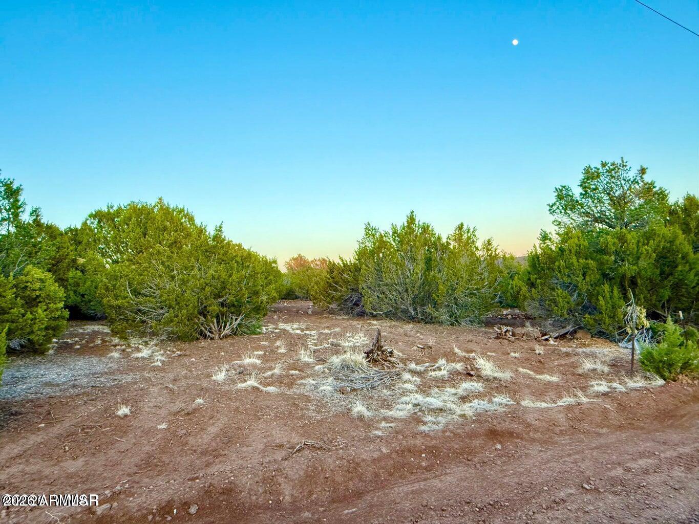 6 Co Road Vernon, AZ 85940 - Photo 12 of 18 a view of a dirt road with trees in the background