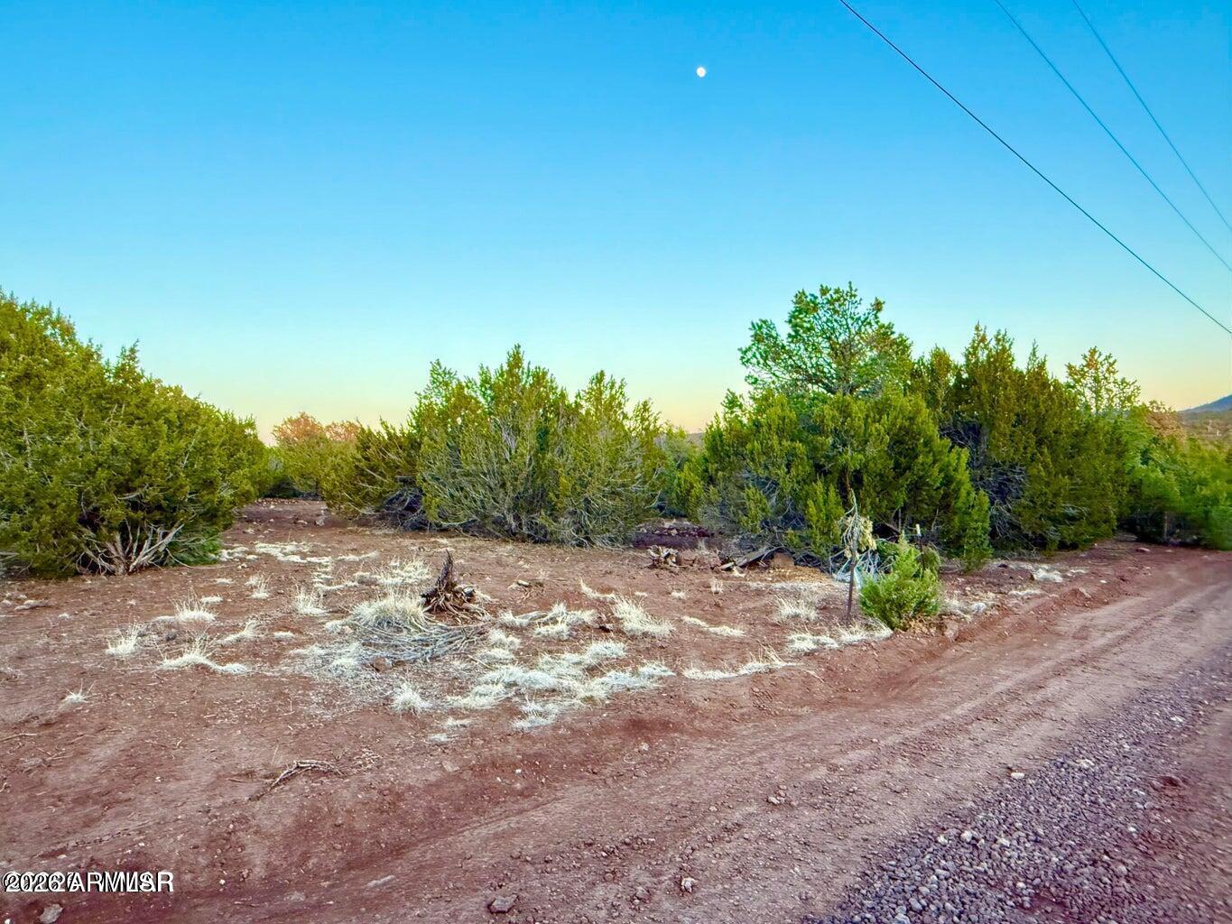 6 Co Road Vernon, AZ 85940 - Photo 14 of 18 a view of a yard with trees