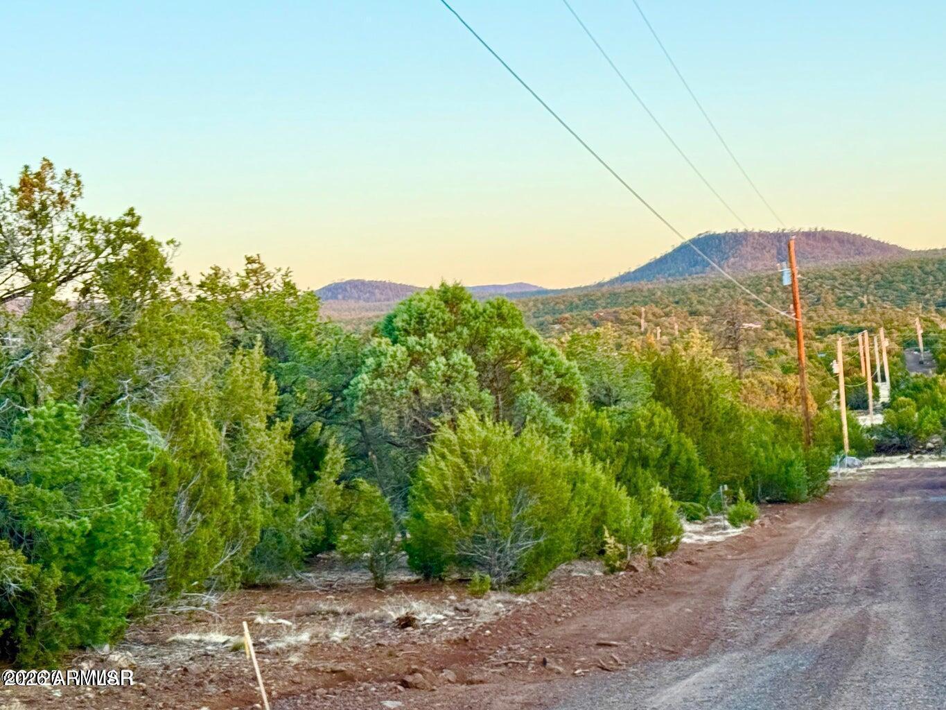 6 Co Road Vernon, AZ 85940 - Photo 15 of 18 a view of a backyard with plants