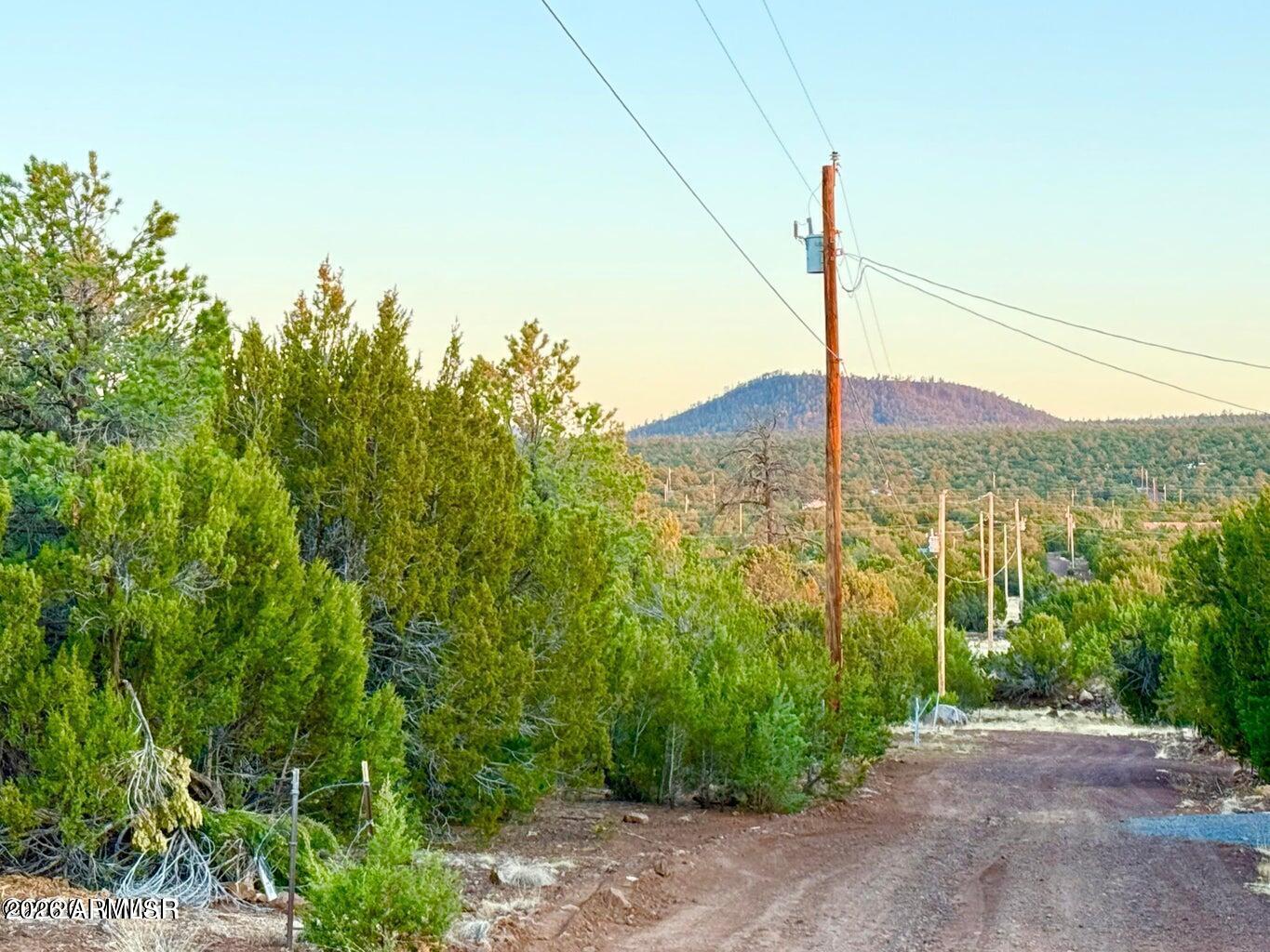 6 Co Road Vernon, AZ 85940 - Photo 16 of 18 a view of a road from a garden
