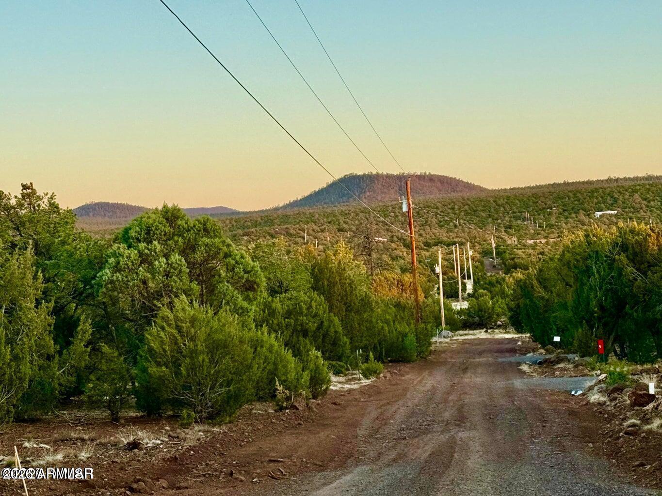 6 Co Road Vernon, AZ 85940 - Photo 4 of 18 a view of a field with a tree in the background
