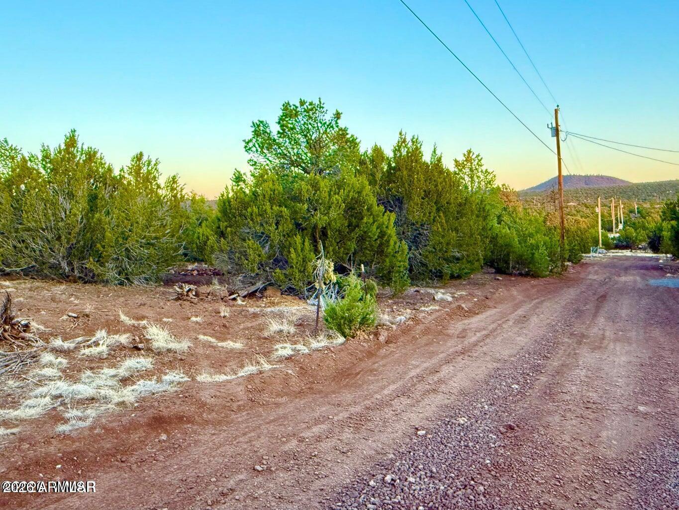 6 Co Road Vernon, AZ 85940 - Photo 10 of 18 a view of a field with trees in the background