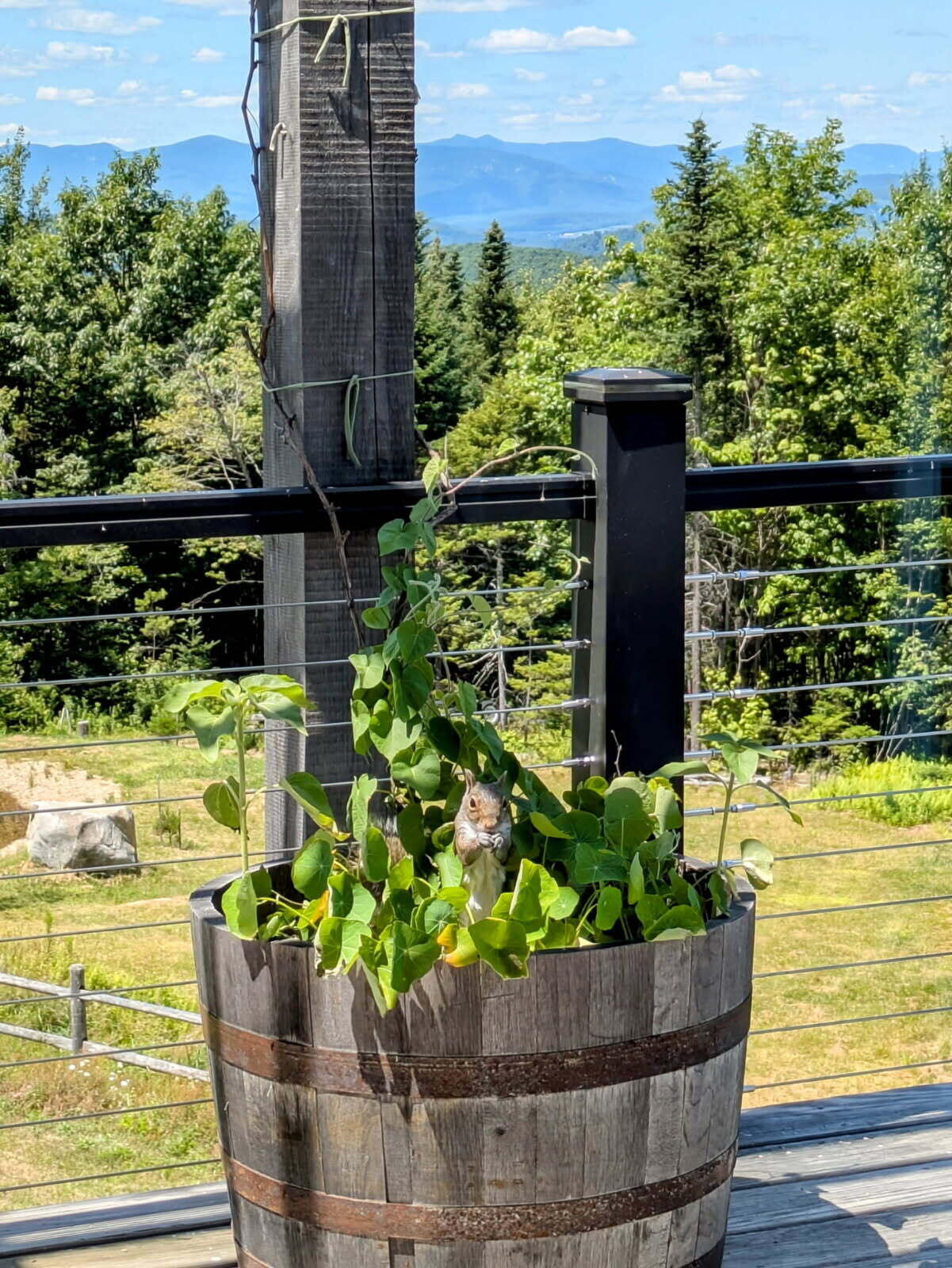 341 Outlook Road Bryant Pond, ME 04219 - Photo 16 of 112 Big views