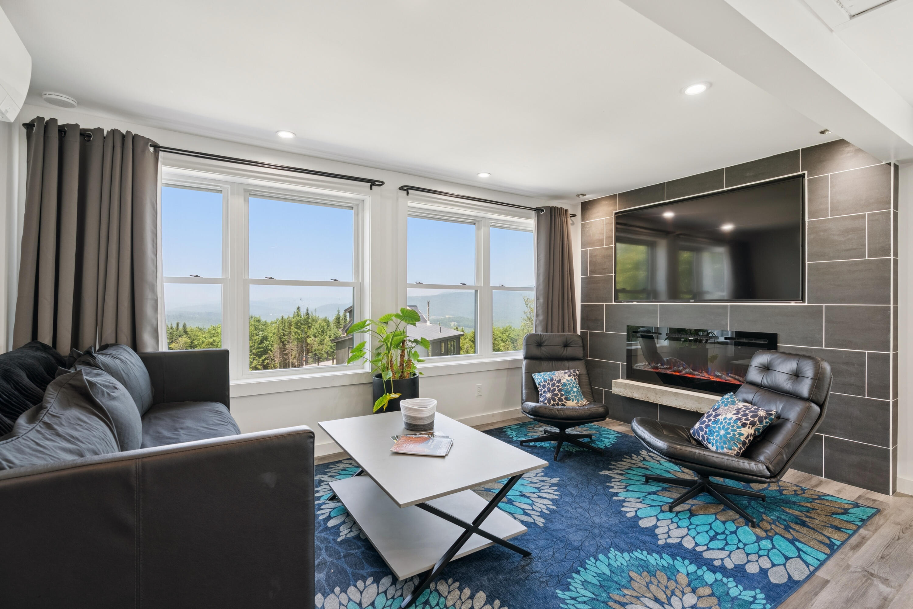 341 Outlook Road Bryant Pond, ME 04219 - Photo 60 of 112 Electric Fireplace Insert