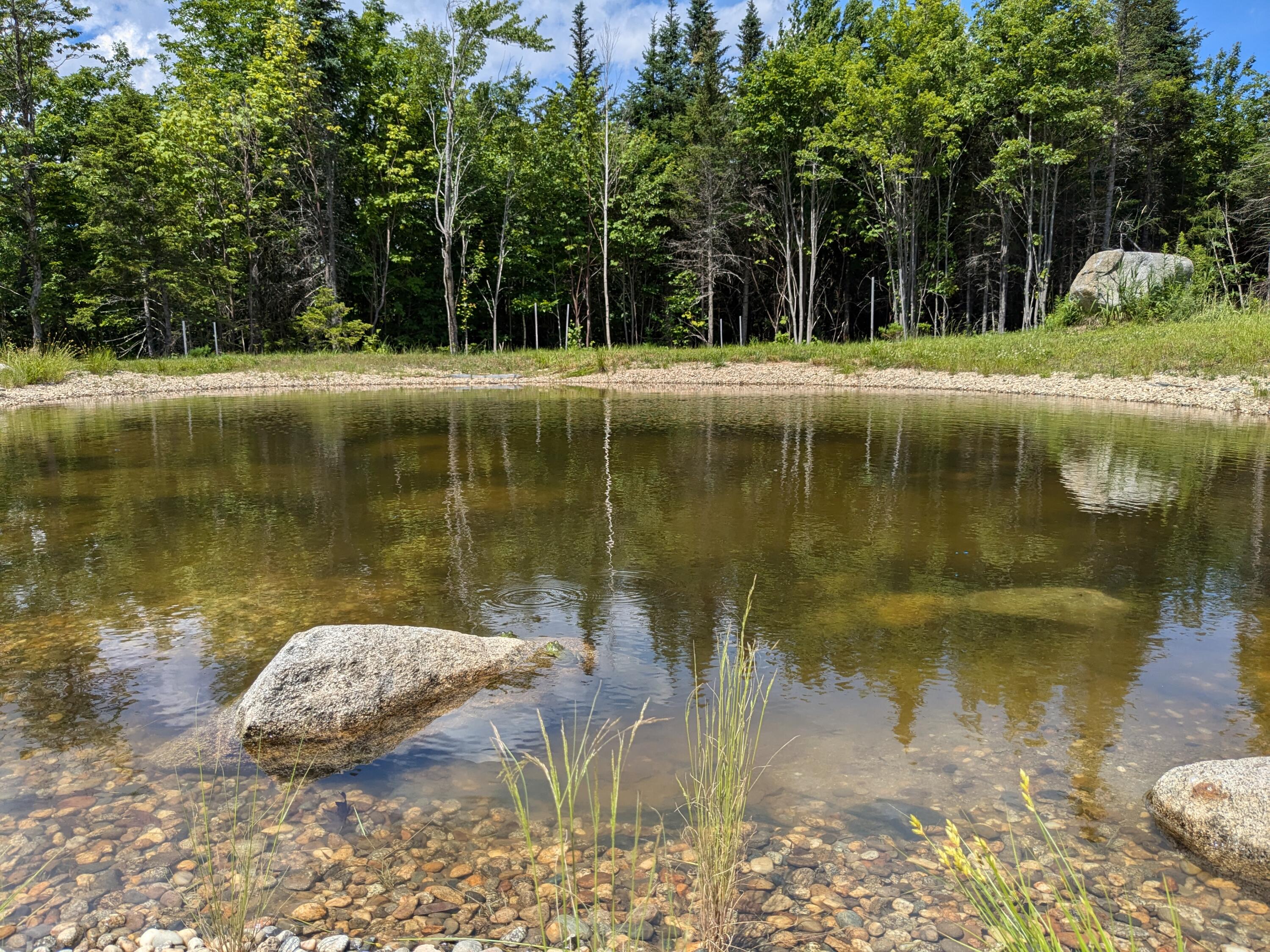 341 Outlook Road Bryant Pond, ME 04219 - Photo 88 of 112 Pond teeming with wildlife