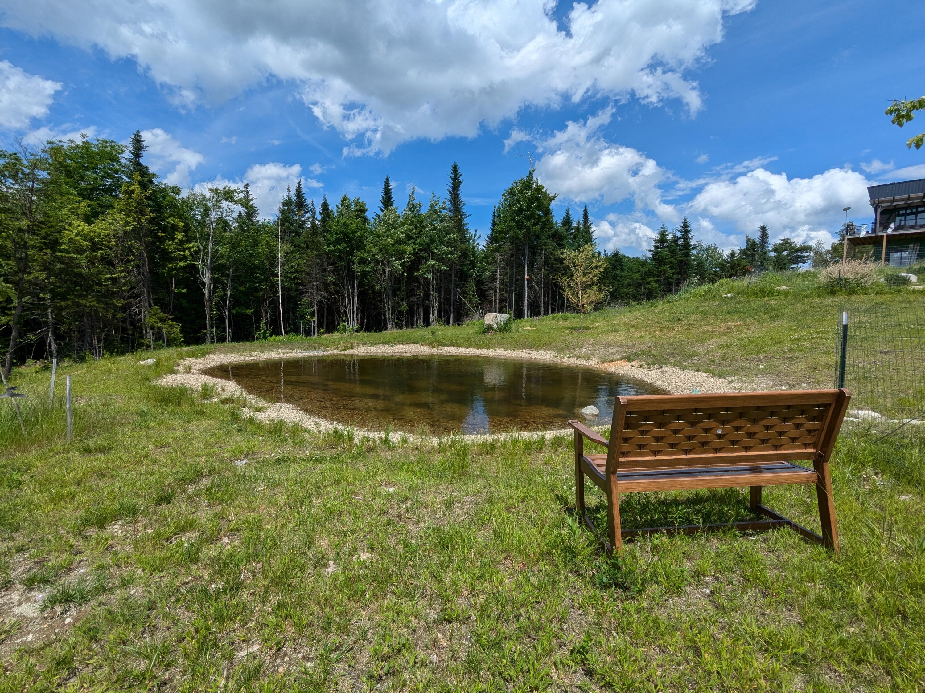 341 Outlook Road Bryant Pond, ME 04219 - Photo 90 of 112 Skating Pond in Winter