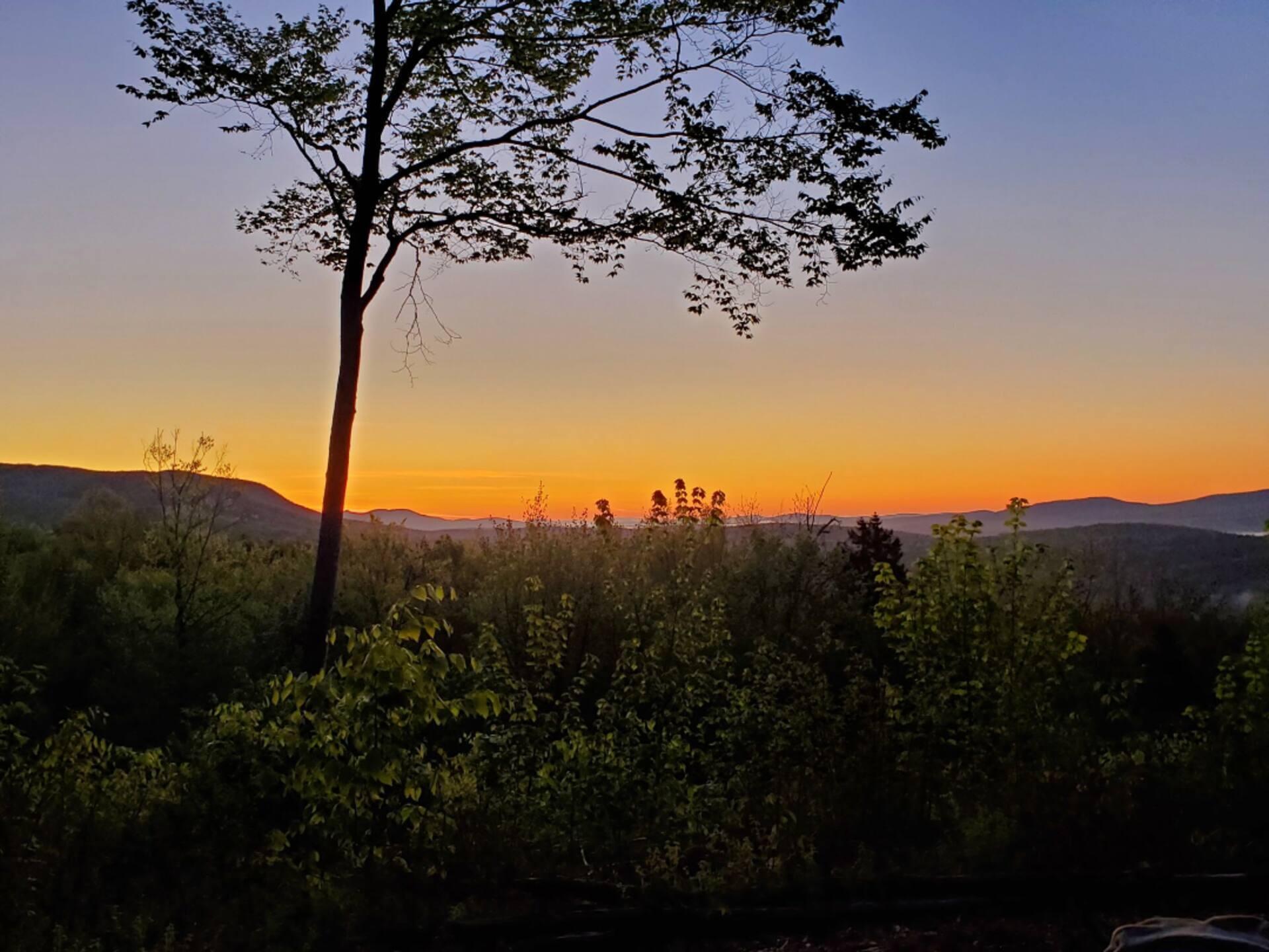 341 Outlook Road Bryant Pond, ME 04219 - Photo 92 of 112 One of Two Cleared Campsite Location
