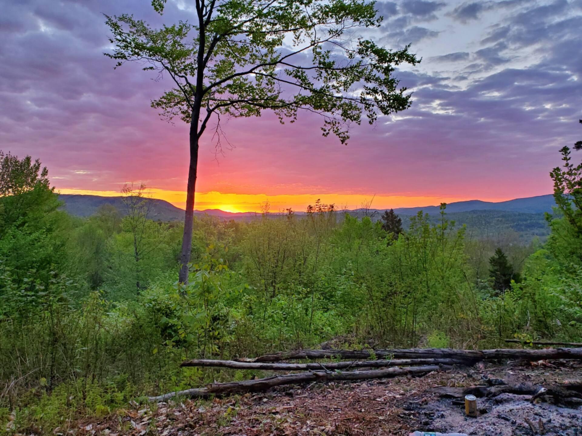 341 Outlook Road Bryant Pond, ME 04219 - Photo 93 of 112 One of Two Cleared Campsite Location