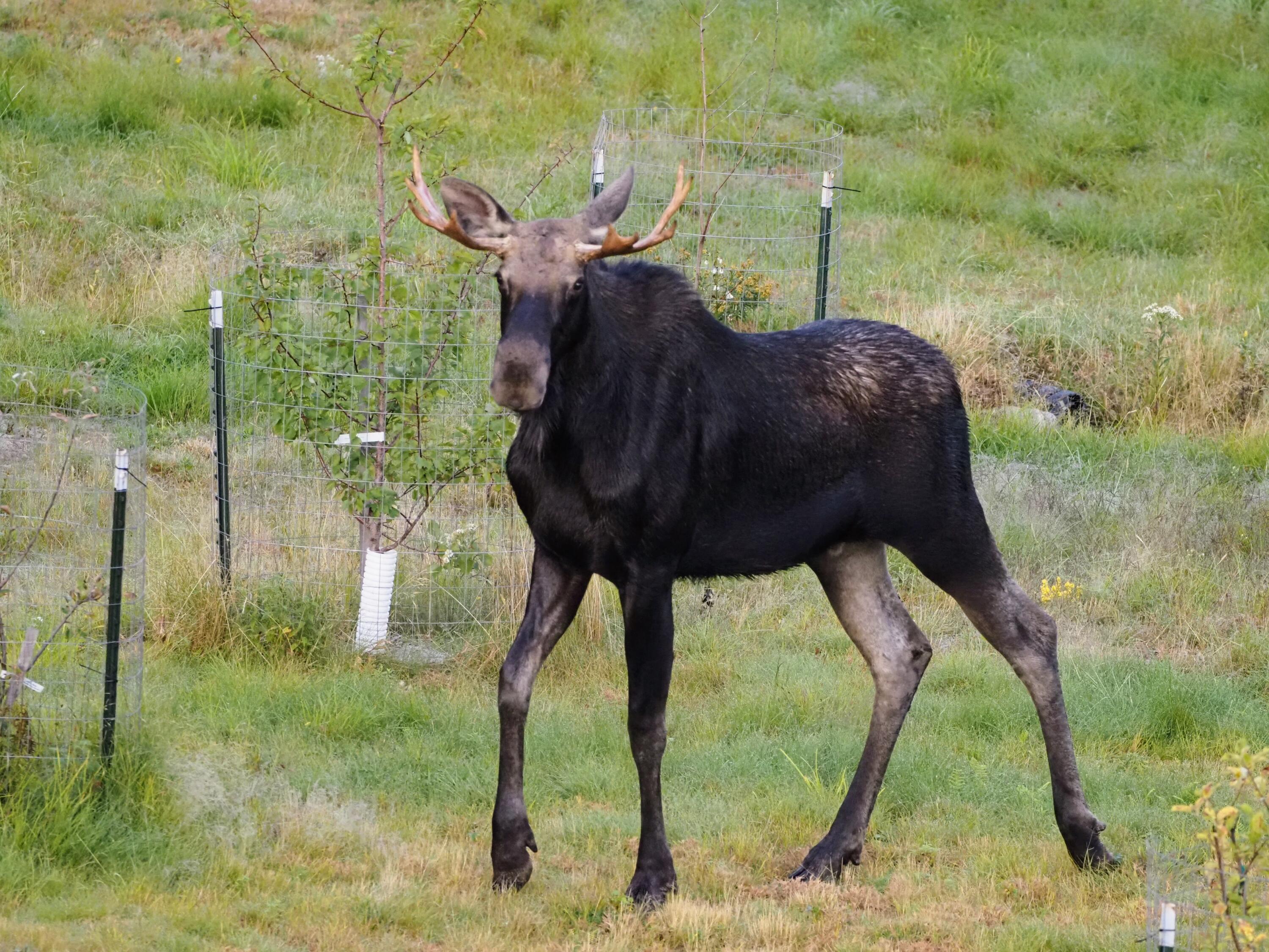 341 Outlook Road Bryant Pond, ME 04219 - Photo 95 of 112 Visitors