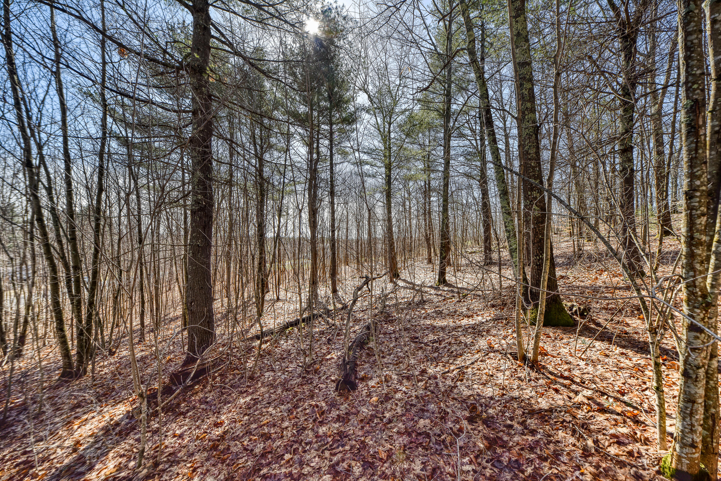 Lot 53-03 Langdon Road Richmond, ME 04357 - Photo 40 of 43 108695gr-125