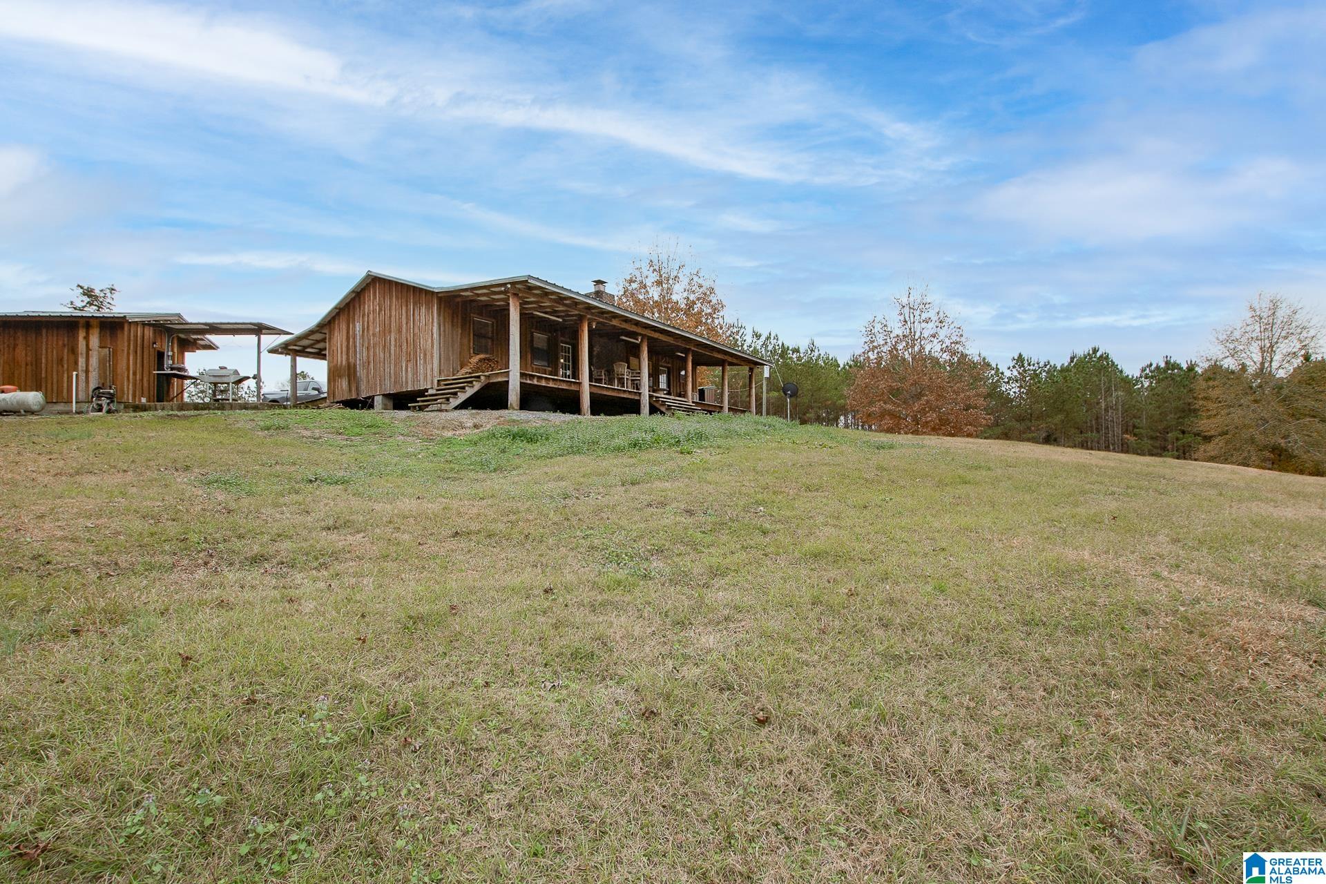 1444 Thrasher Road Sawyerville, AL 36776 - Photo 31 of 47