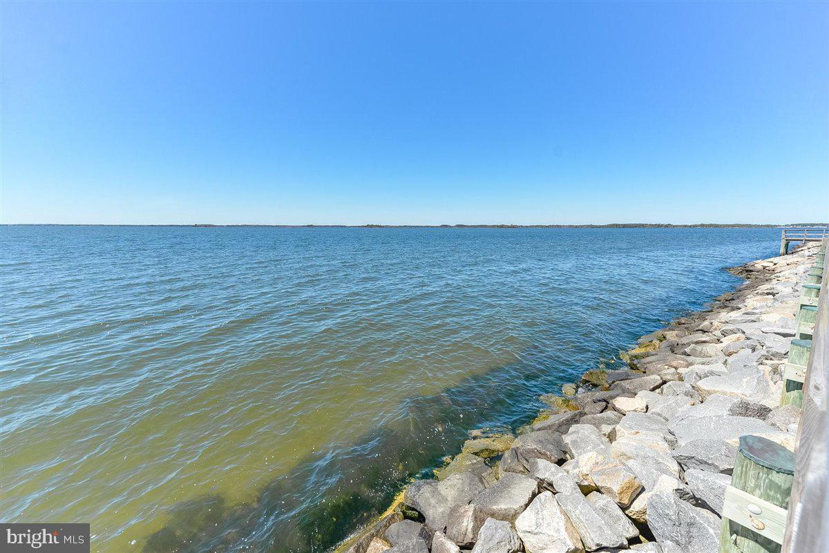 120 Pine Tree Road Ocean City, MD 21842 - Photo 48 of 50 Community Boardwalk
